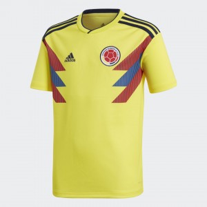Camiseta nueva COLOMBIA Juventud Home 2018
